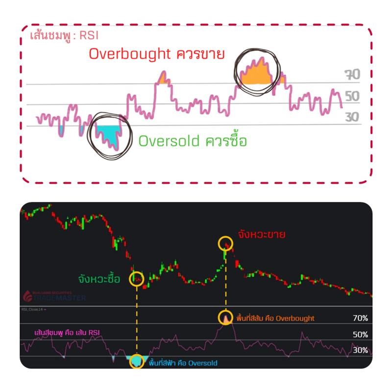 image-(32).png image-(32).png