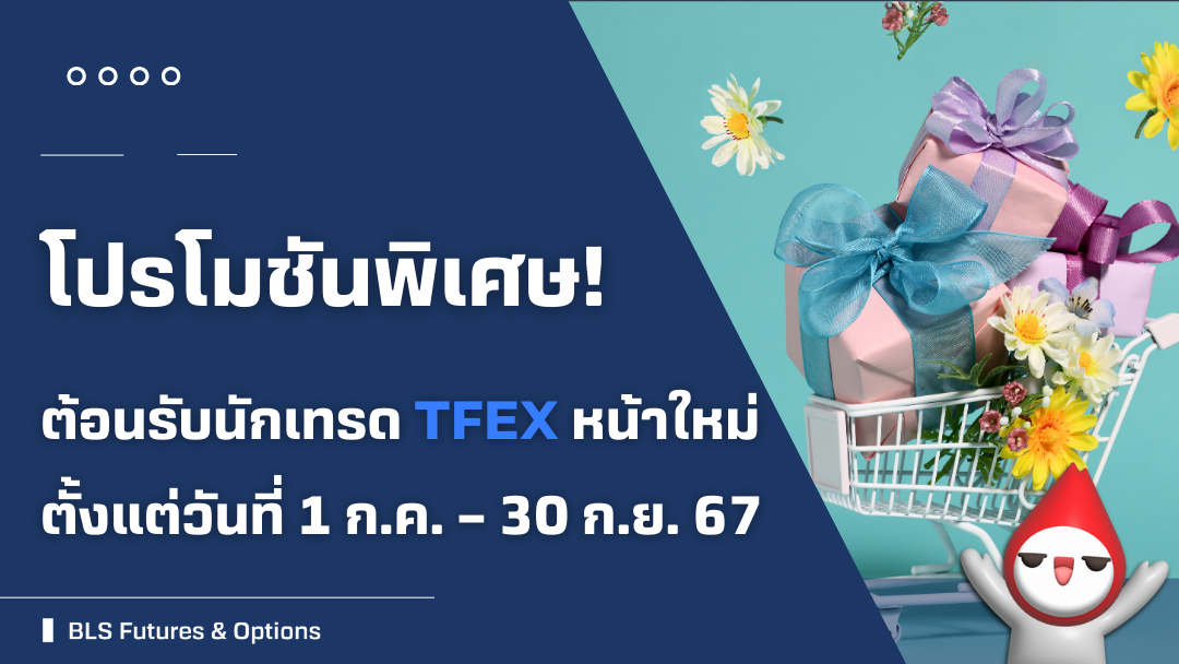 promotiontfex24