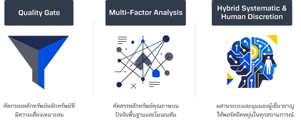 DR-Stock-Focus-model.webp DR-Stock-Focus-model.webp