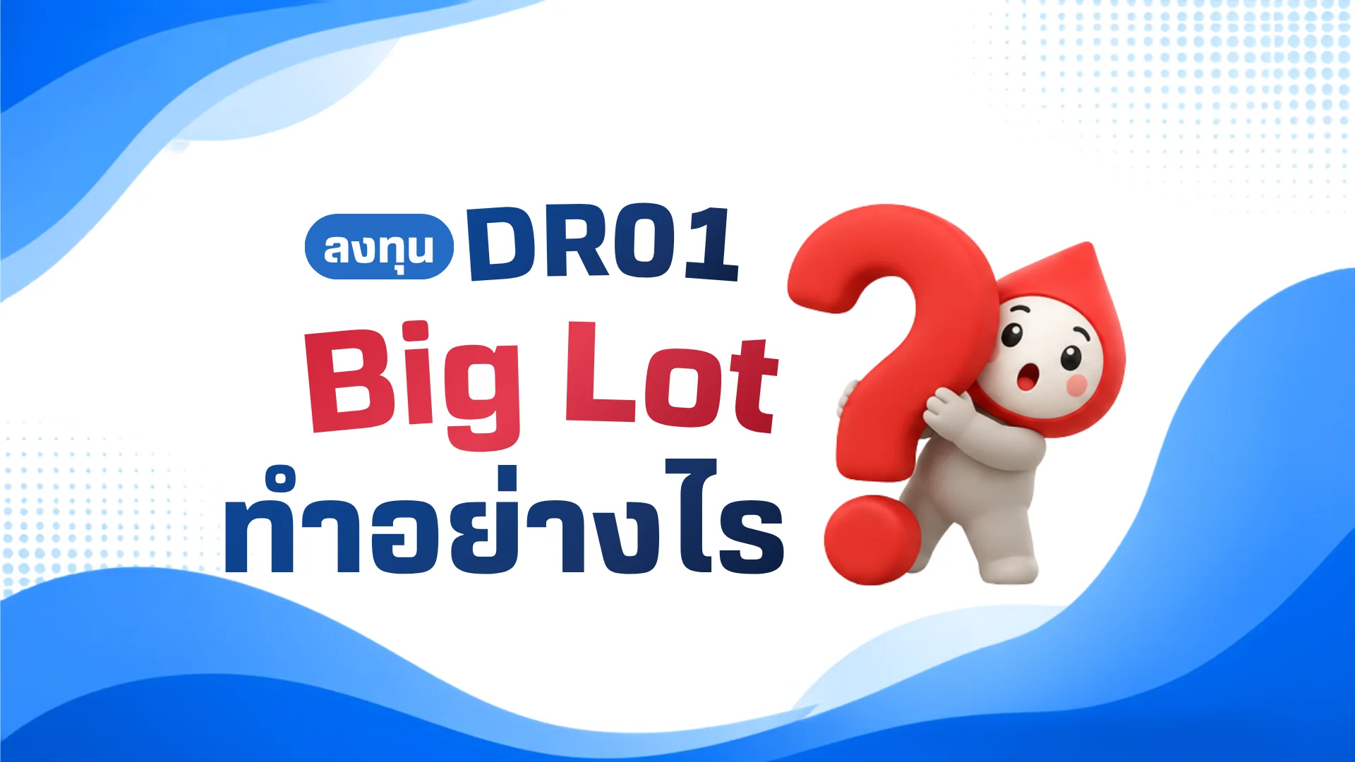 DR01BIGLOT