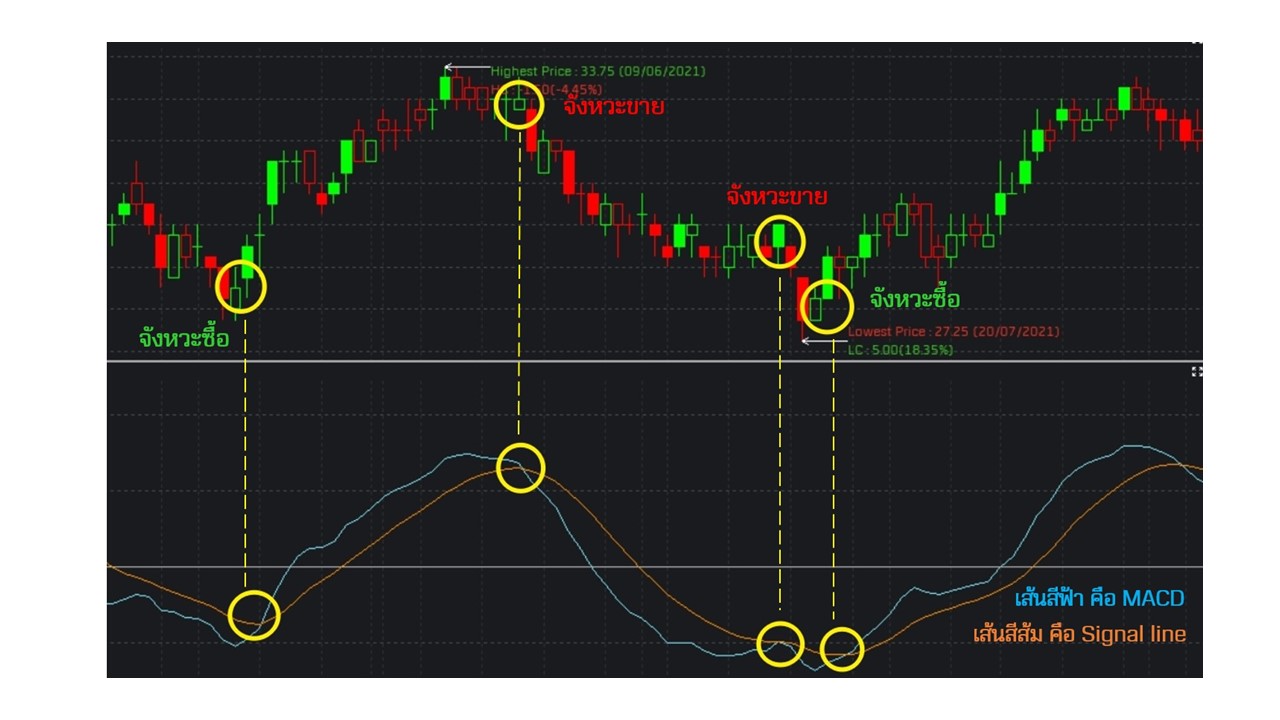 MACD คือ หาจุดซื้อ ขาย