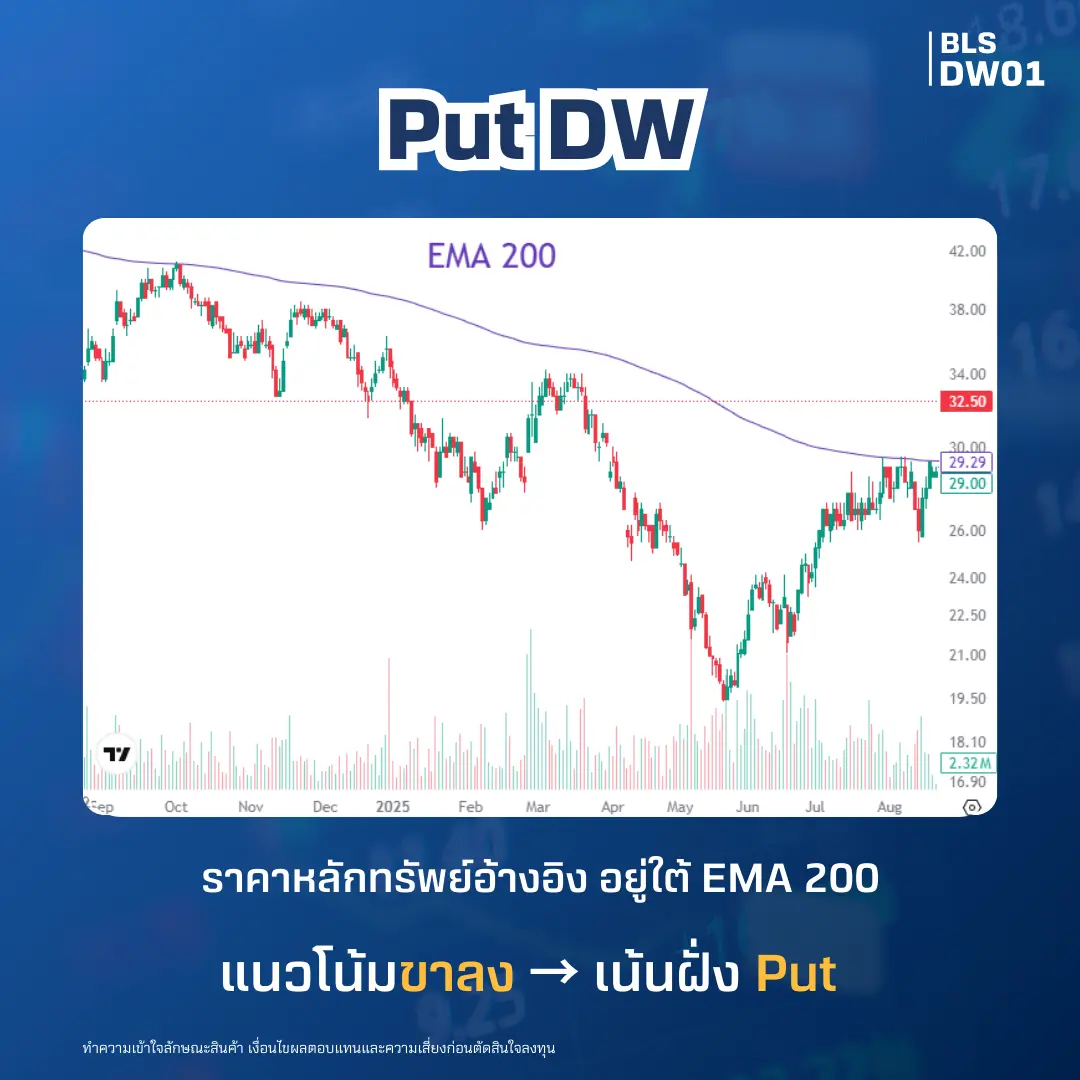 DW01-AW-SQ-(13).webp DW01-AW-SQ-(13).webp