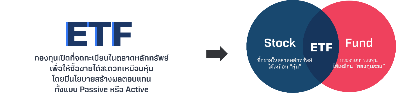 image-(12)_1.png image-(12)_1.png