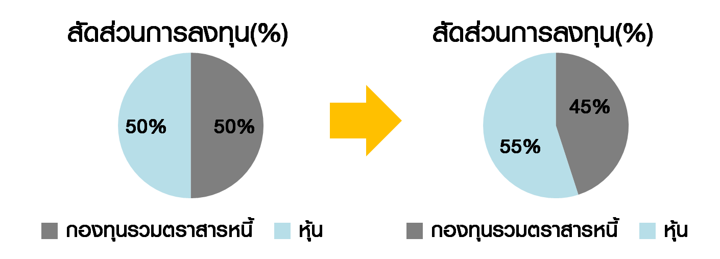 สัดส่วนการลงทุน