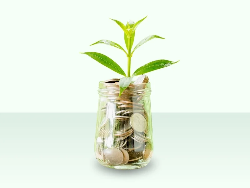Mutual Fund