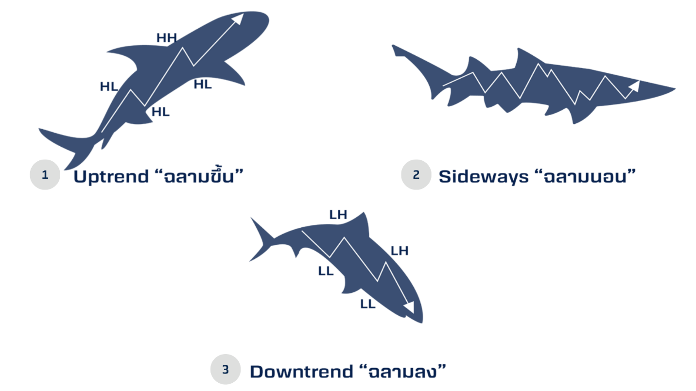 image-(29).png image-(29).png