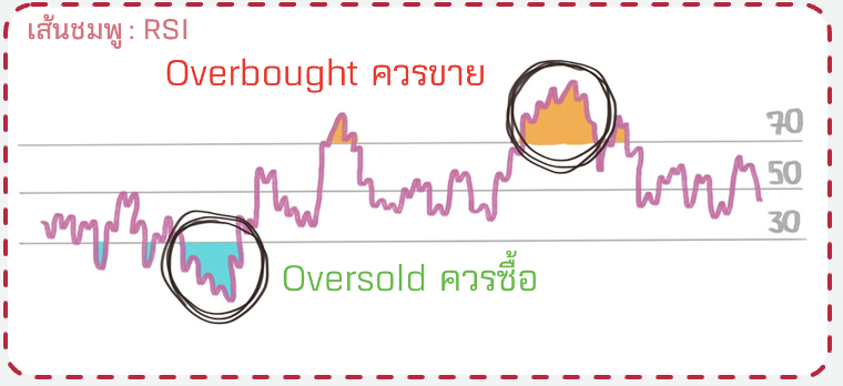 Screenshot 2567-02-13 at 01.10.07.png