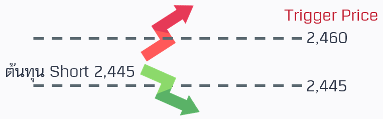 A close-up of arrows  Description automatically generated