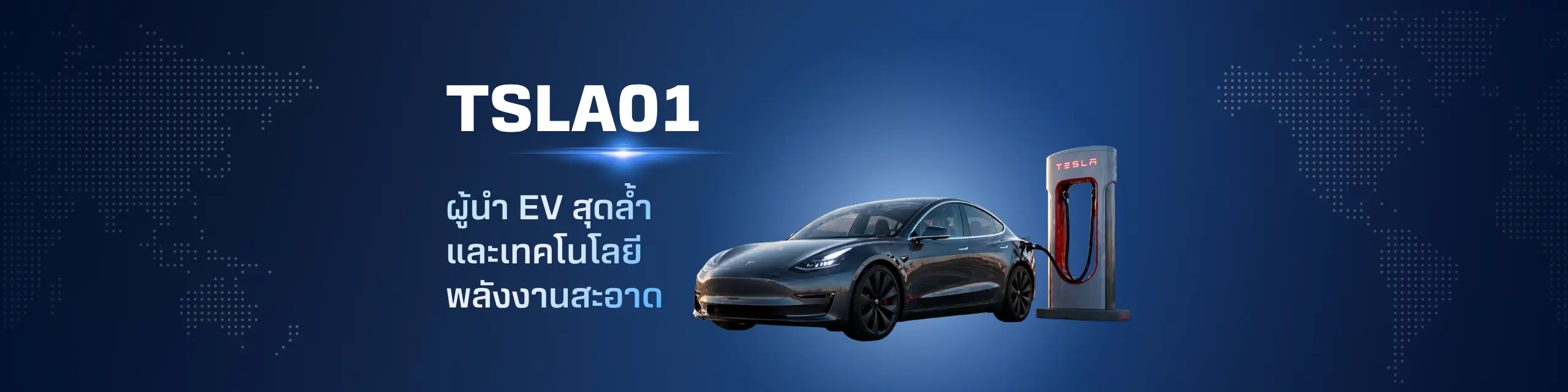 TSLA01