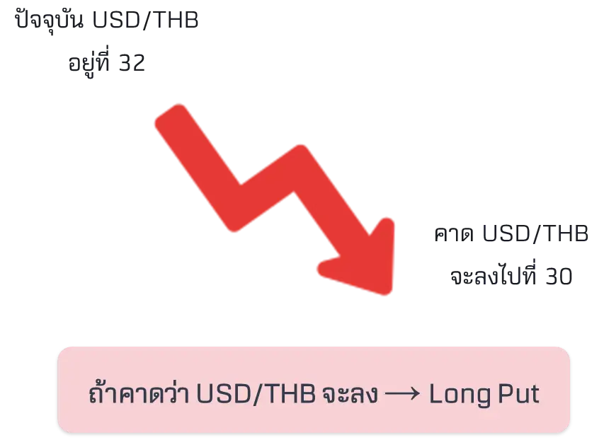 usd-options8.webp