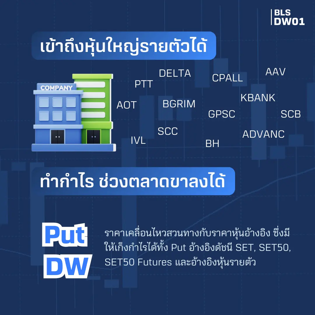 DW01-AW-SQ-(11).webp