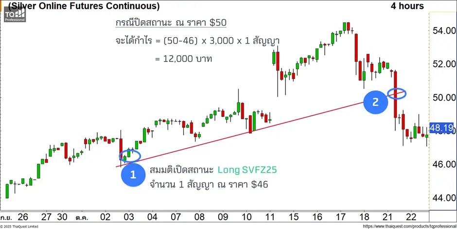 Picture10.webp Picture10.webp