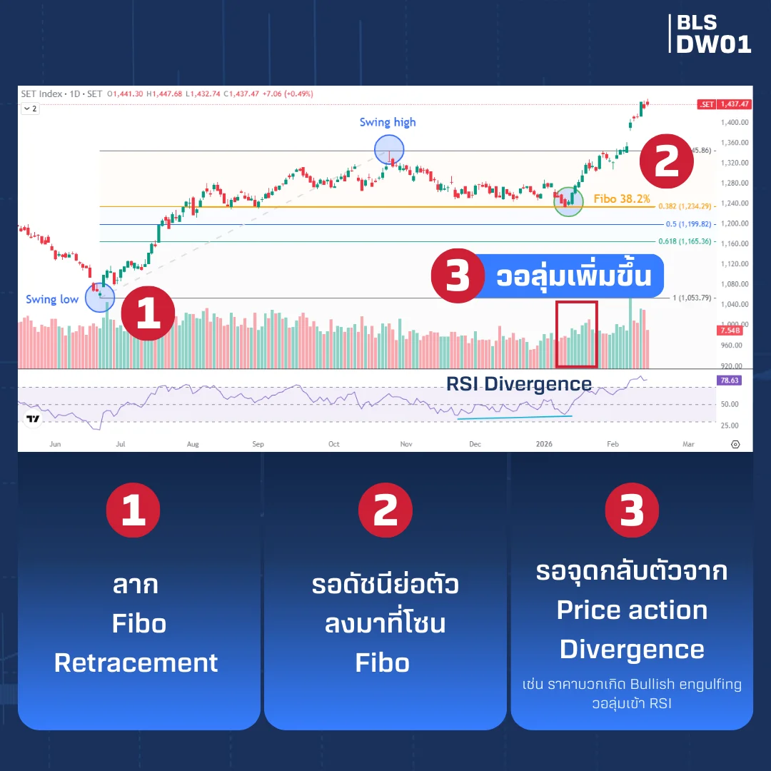 สำเนาของ-DW01-AW-SQ-(8).webp